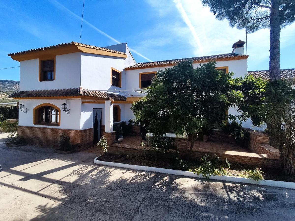 Paredejas Del Rey * Priego de Córdoba